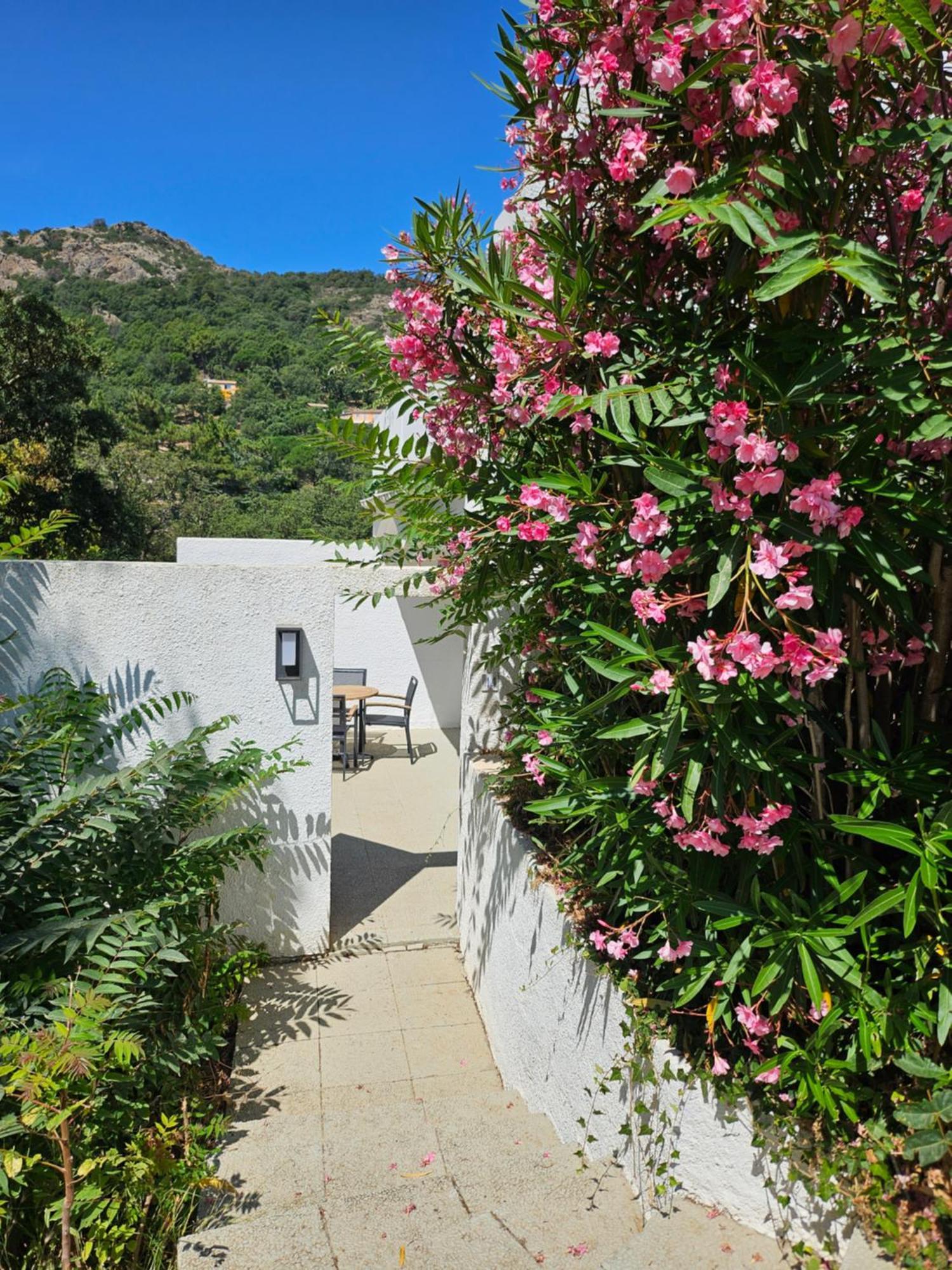 Apartmán Capsud, La Garde-Freinet Exteriér fotografie